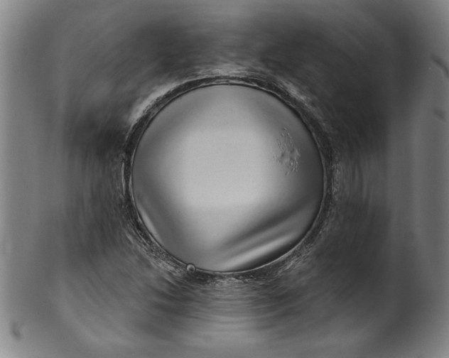 X0000099971214200806061622