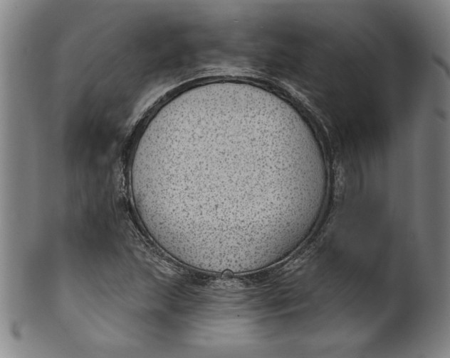 X0000099971215200806061622