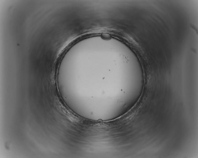 X0000099971216200806061622