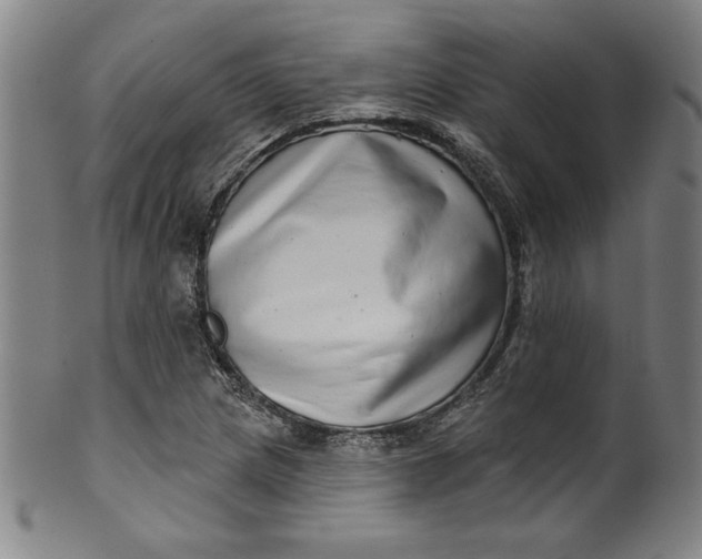 X0000099971217200806061622