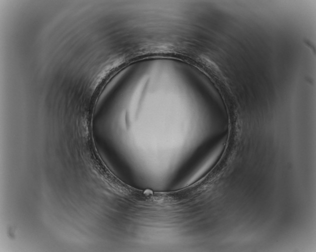 X0000099971218200806061622