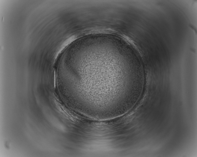 X0000099971219200806061622