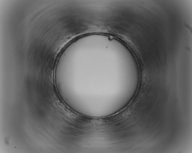 X0000099971220200806061622