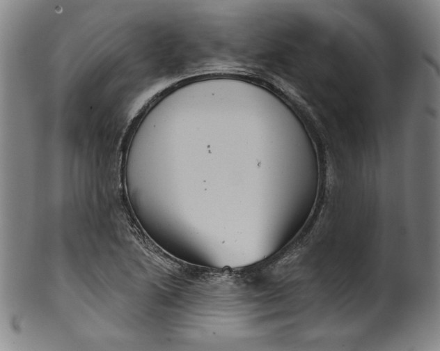 X0000099971222200806061622