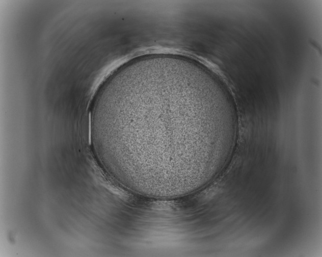 X0000099971223200806061622