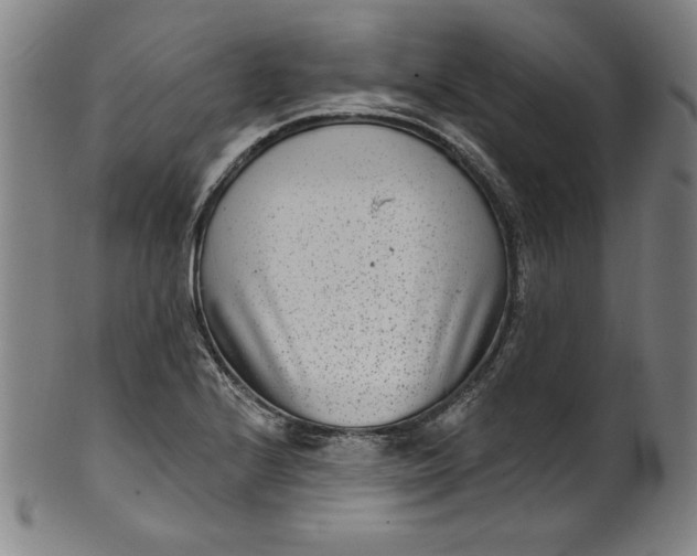 X0000099971224200806061622