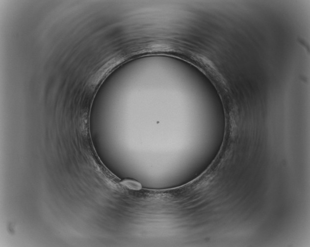 X0000099971225200806061622