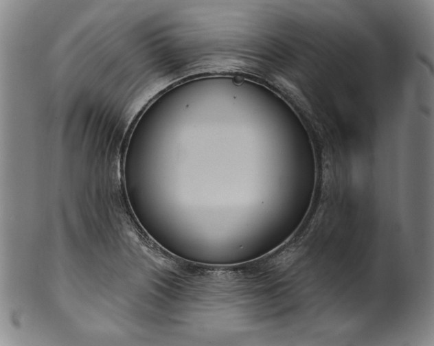 X0000099971226200806061622