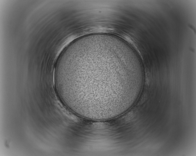 X0000099971227200806061622