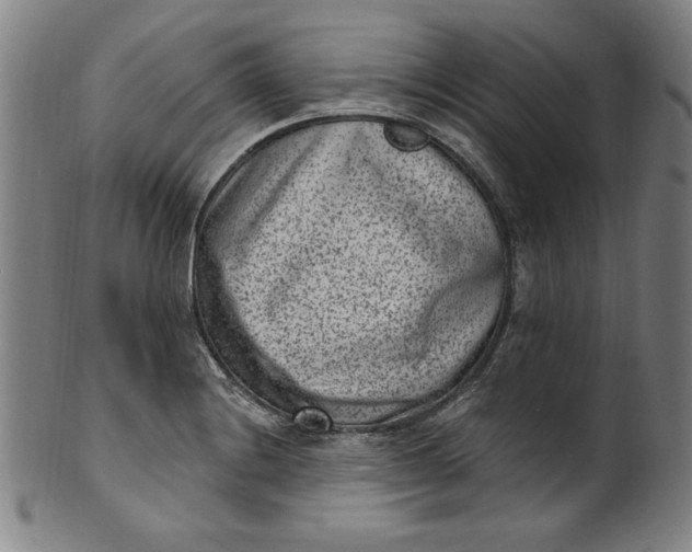 X0000099971228200806061622