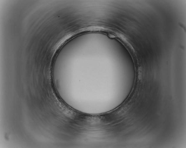 X0000099971229200806061622