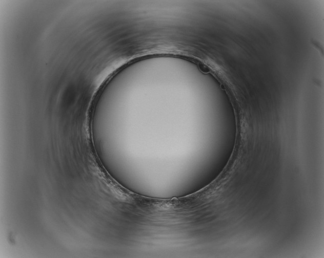 X0000099971230200806061622