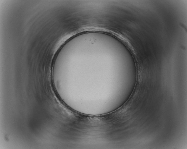 X0000099971231200806061622