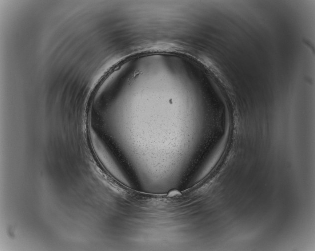 X0000099971232200806061622