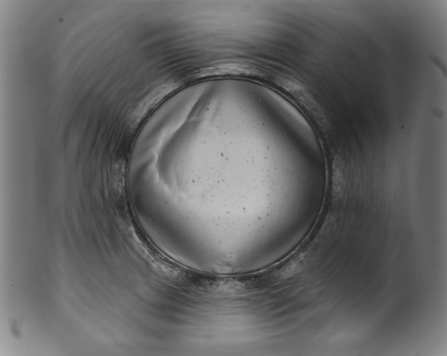 X0000099971233200806061622