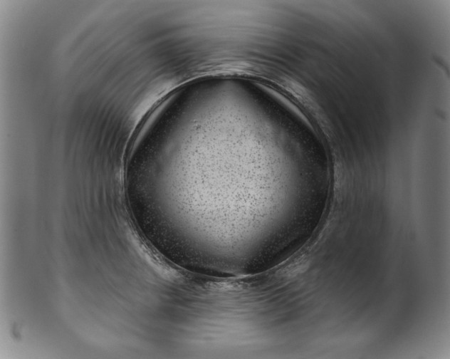 X0000099971234200806061622