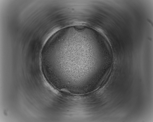 X0000099971235200806061622