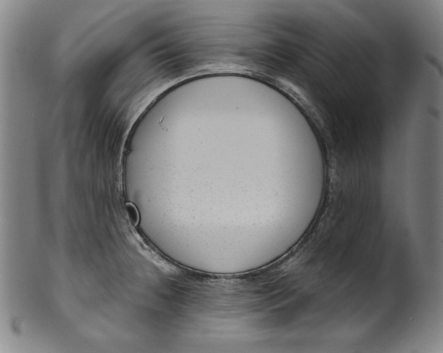 X0000099971236200806061622