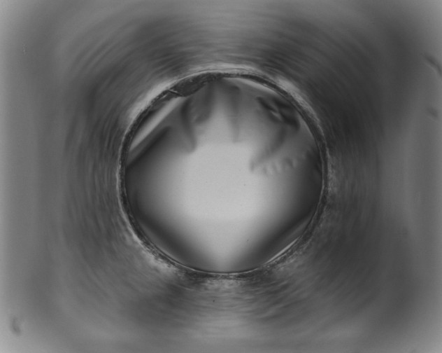 X0000099971237200806061622