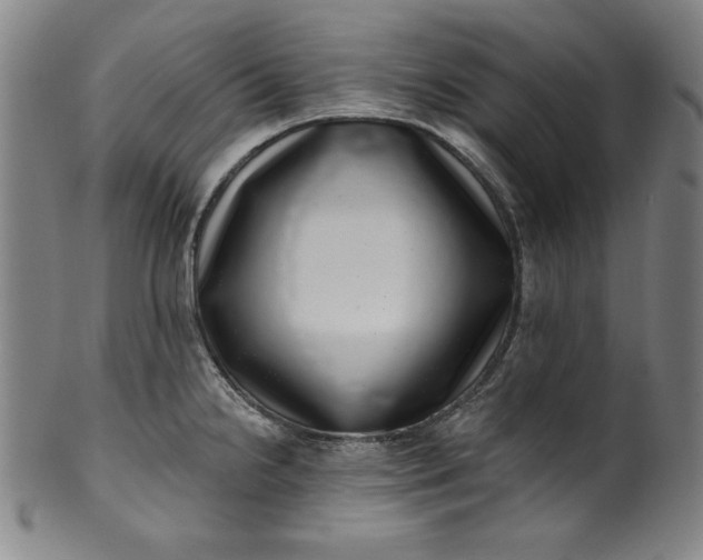 X0000099971238200806061622