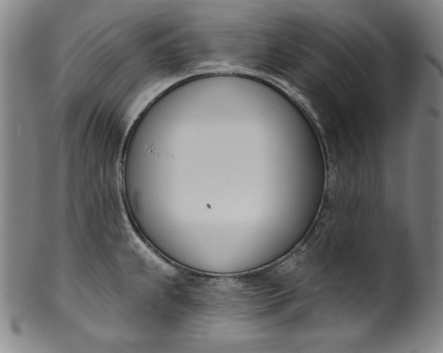 X0000099971239200806061622