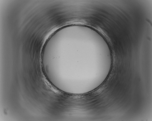 X0000099971240200806061622