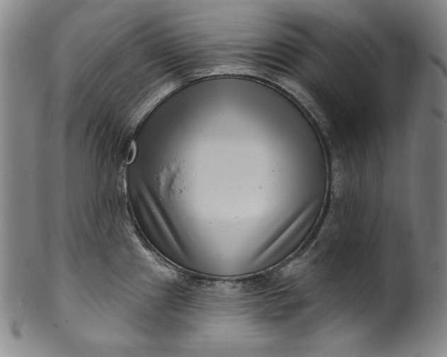 X0000099971241200806061622