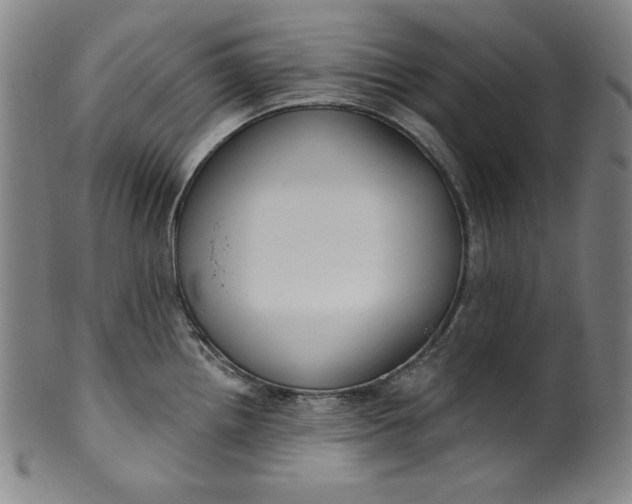 X0000099971242200806061622