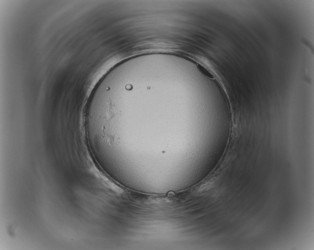 X0000099971243200806061622