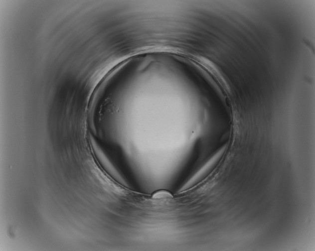 X0000099971244200806061622