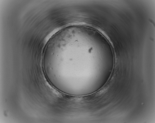 X0000099971245200806061622