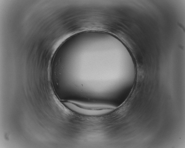 X0000099971246200806061622