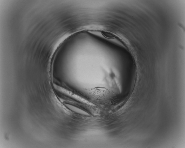 X0000099971248200806061622