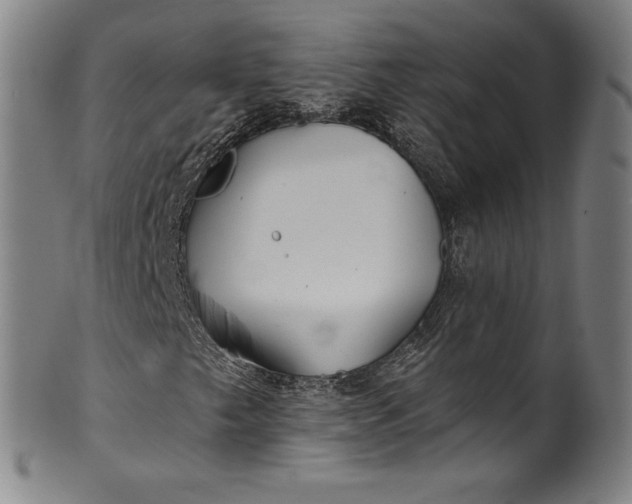 X0000099971249200806061621