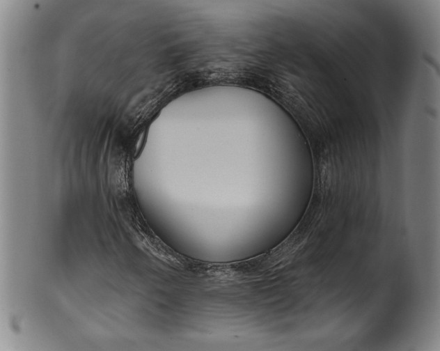 X0000099971250200806061621