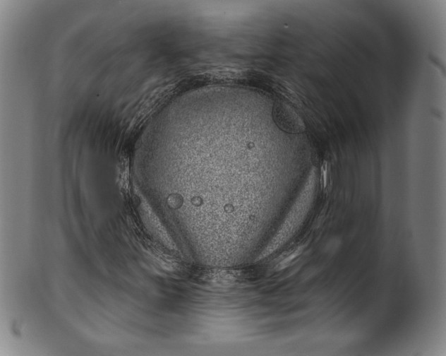 X0000099971251200806061621