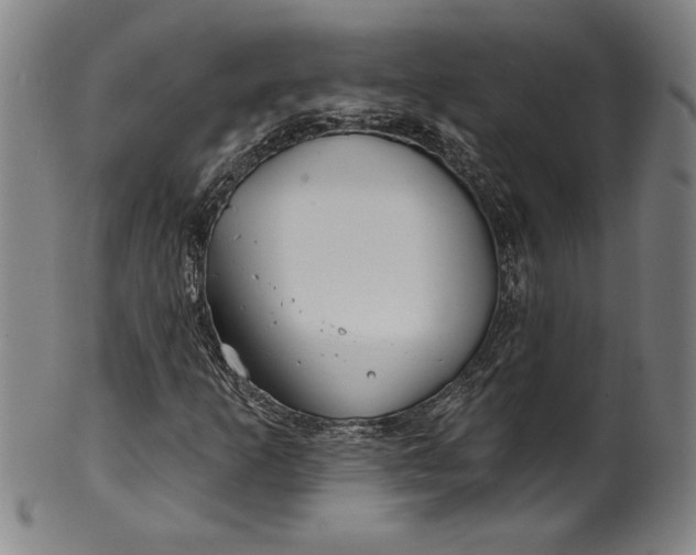 X0000099971253200806061621