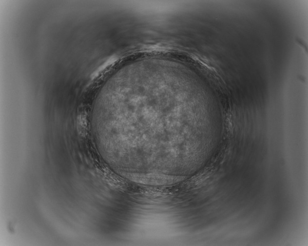 X0000099971254200806061621