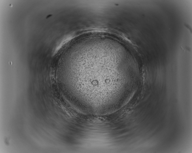 X0000099971255200806061621