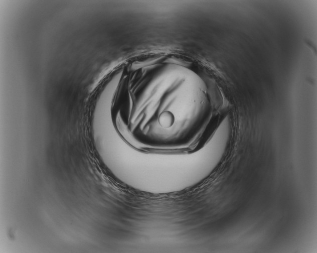 X0000099971256200806061621