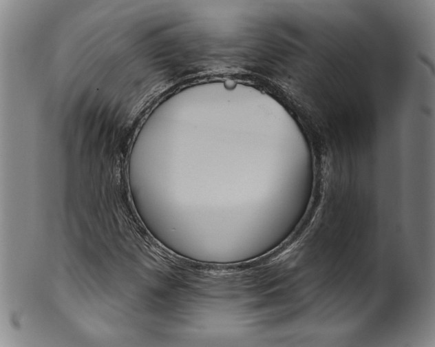 X0000099971257200806061621