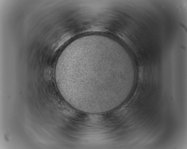 X0000099971258200806061621