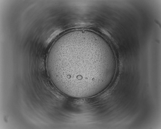 X0000099971259200806061621