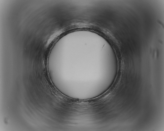 X0000099971261200806061621