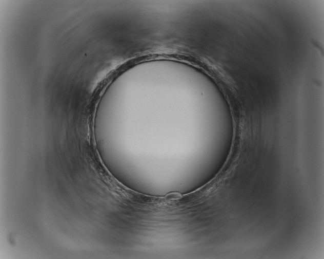 X0000099971262200806061621