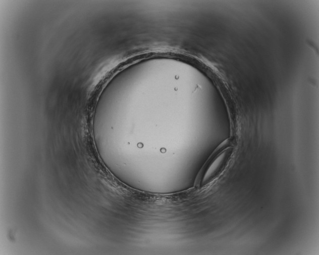 X0000099971263200806061621