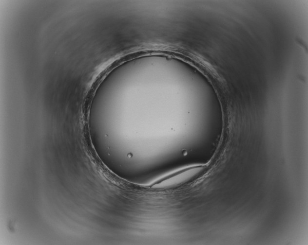 X0000099971264200806061621