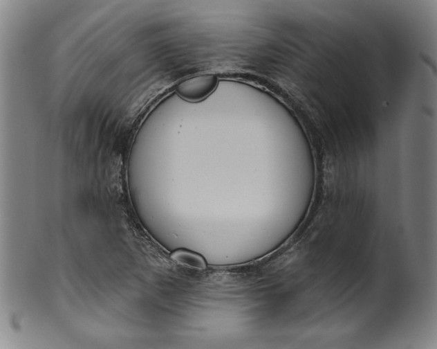 X0000099971265200806061621