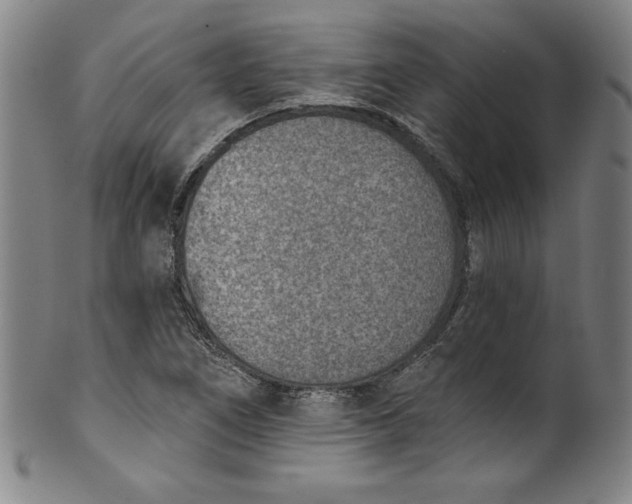 X0000099971266200806061621