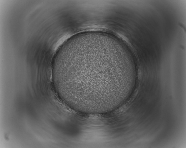 X0000099971267200806061621